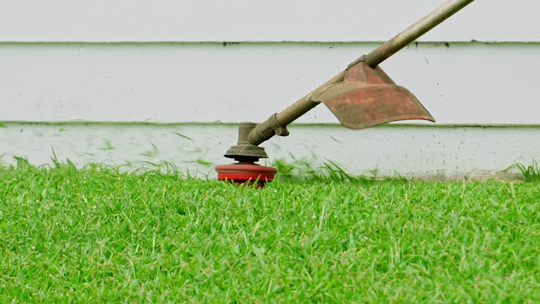 Brookhaven, WV Tree Services Company